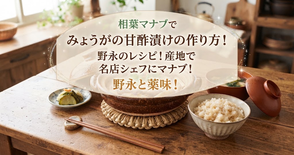 相葉マナブでみょうがの甘酢漬けの作り方!野永のレシピ!産地で名店シェフにマナブ!野永と薬味!