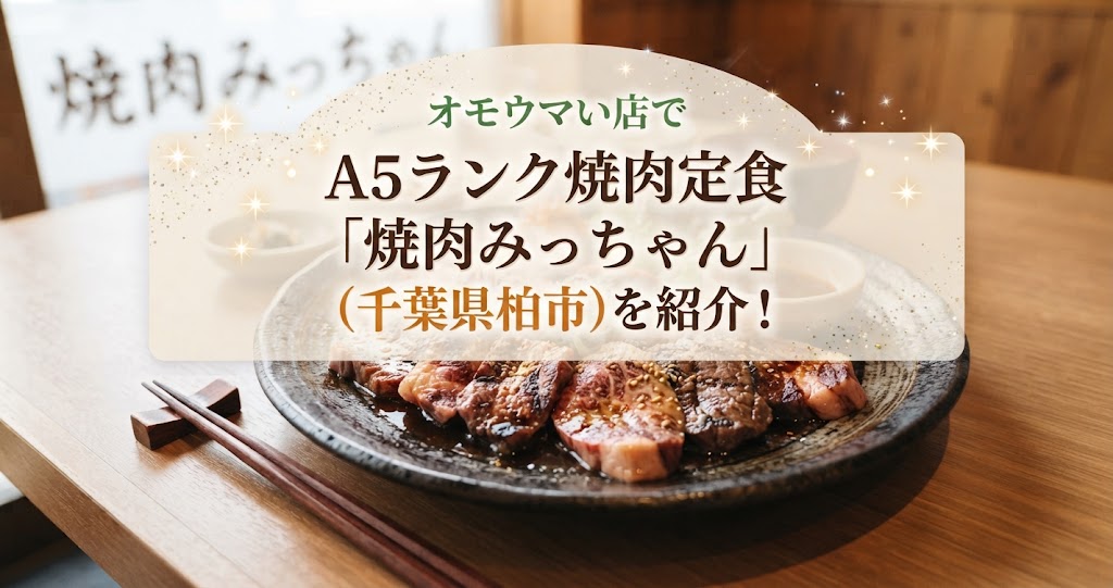 オモウマい店でA5ランク焼肉定食「焼肉みっちゃん」(千葉県柏市)を紹介！